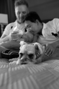 dog lays in bed with family