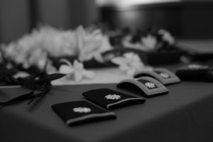 ALP_0246