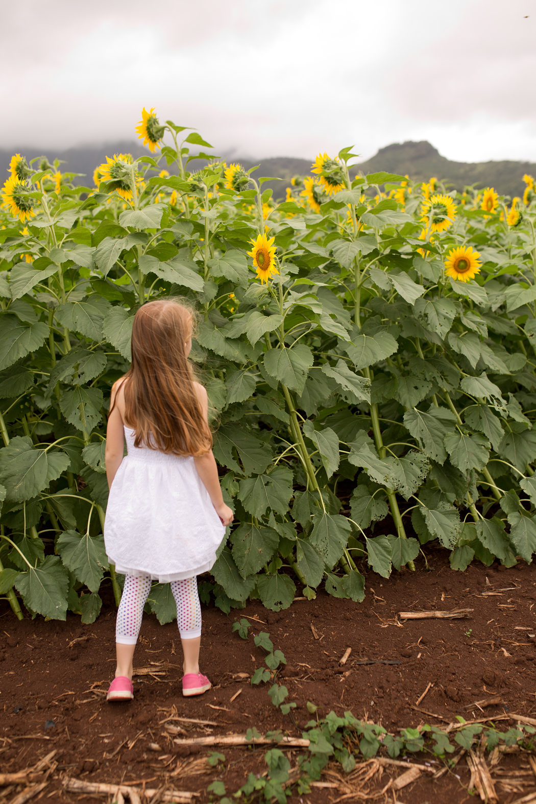 ashley langtry photography maine