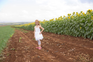 ALP_9748