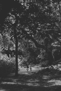 king kamehameva's ruins