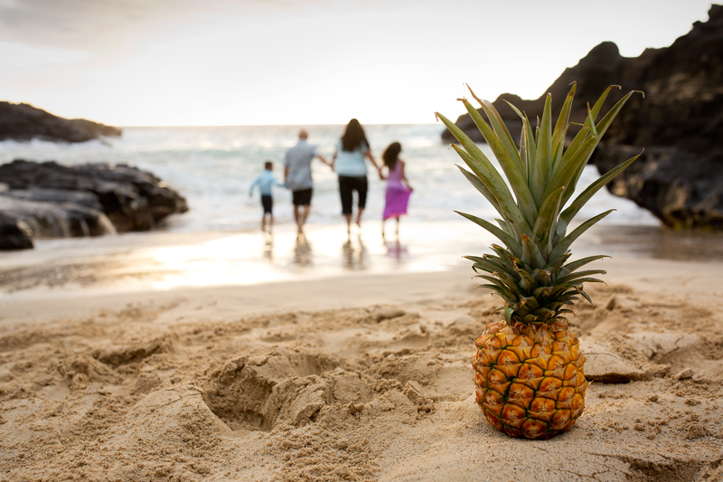 family photo eternity beach pineapple