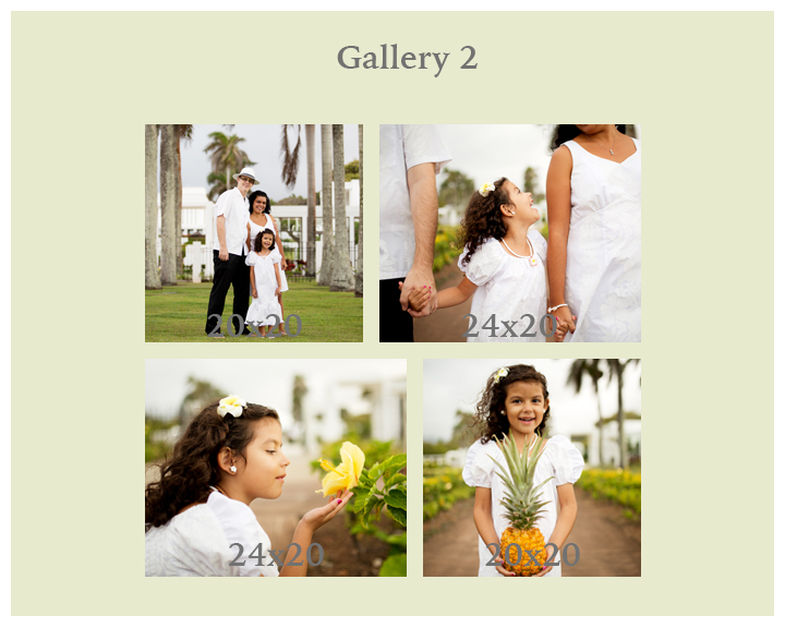 Ashley Langtry Photography
