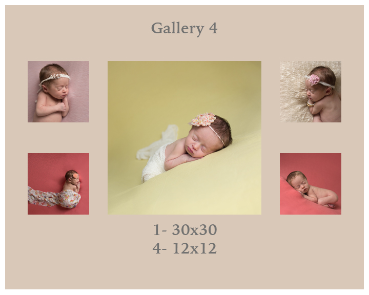 Ashley Langtry Photography