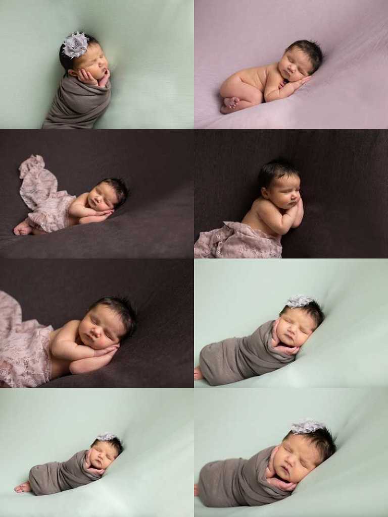 posed newborn photos on blankey backdrop