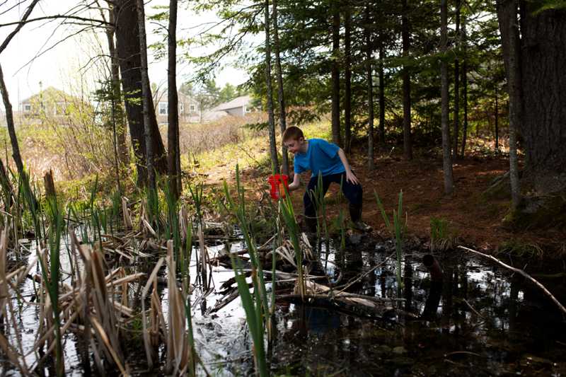 boy hunts for frog