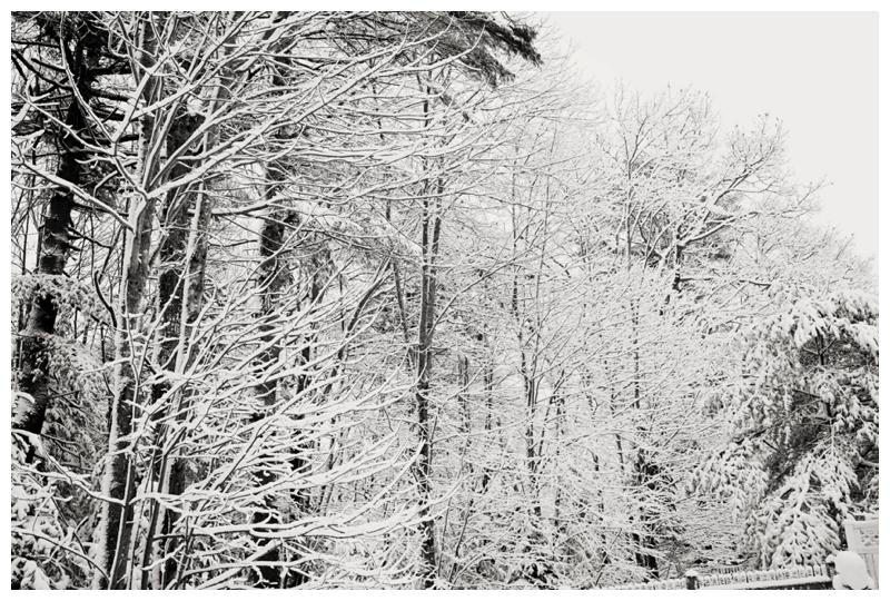 Portland-Maine-Photographer_0017