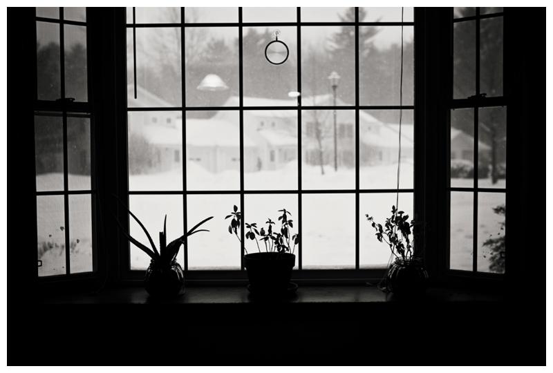 Portland-Maine-Photographer_0022