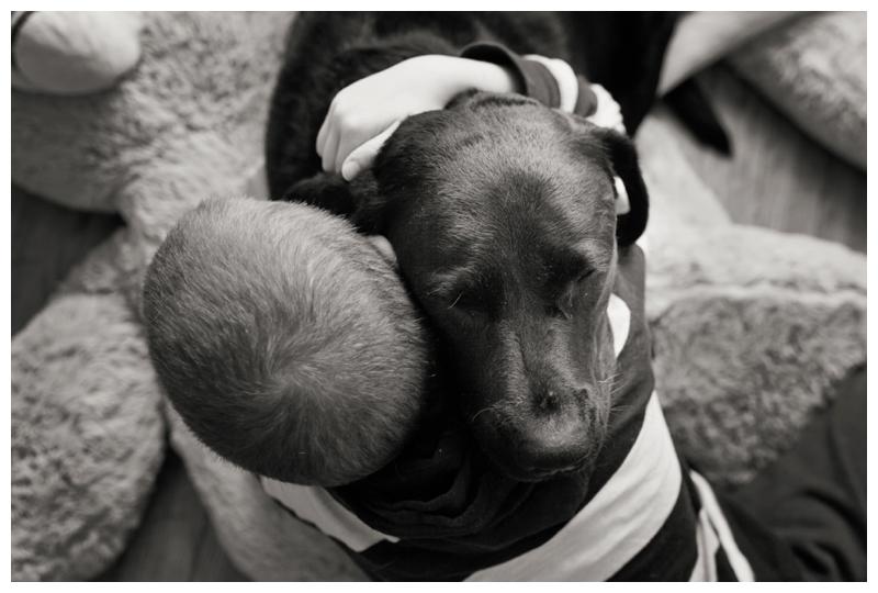 boy and his dog
