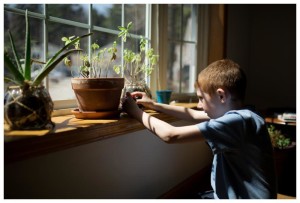boy playing by the window