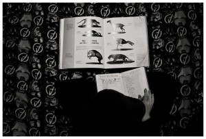 boy reads books