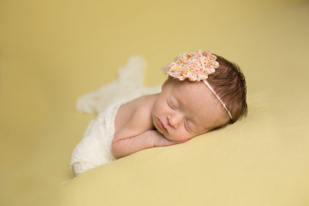 windham maine photographer
