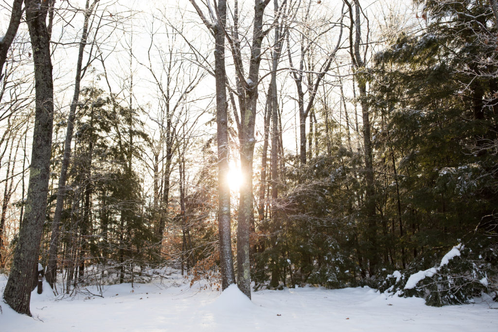 snowy scene in maine