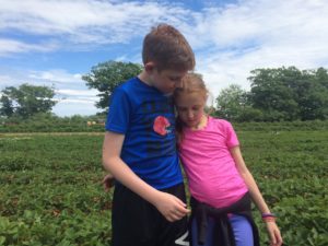 Fairwind Farms Strawberry Fields