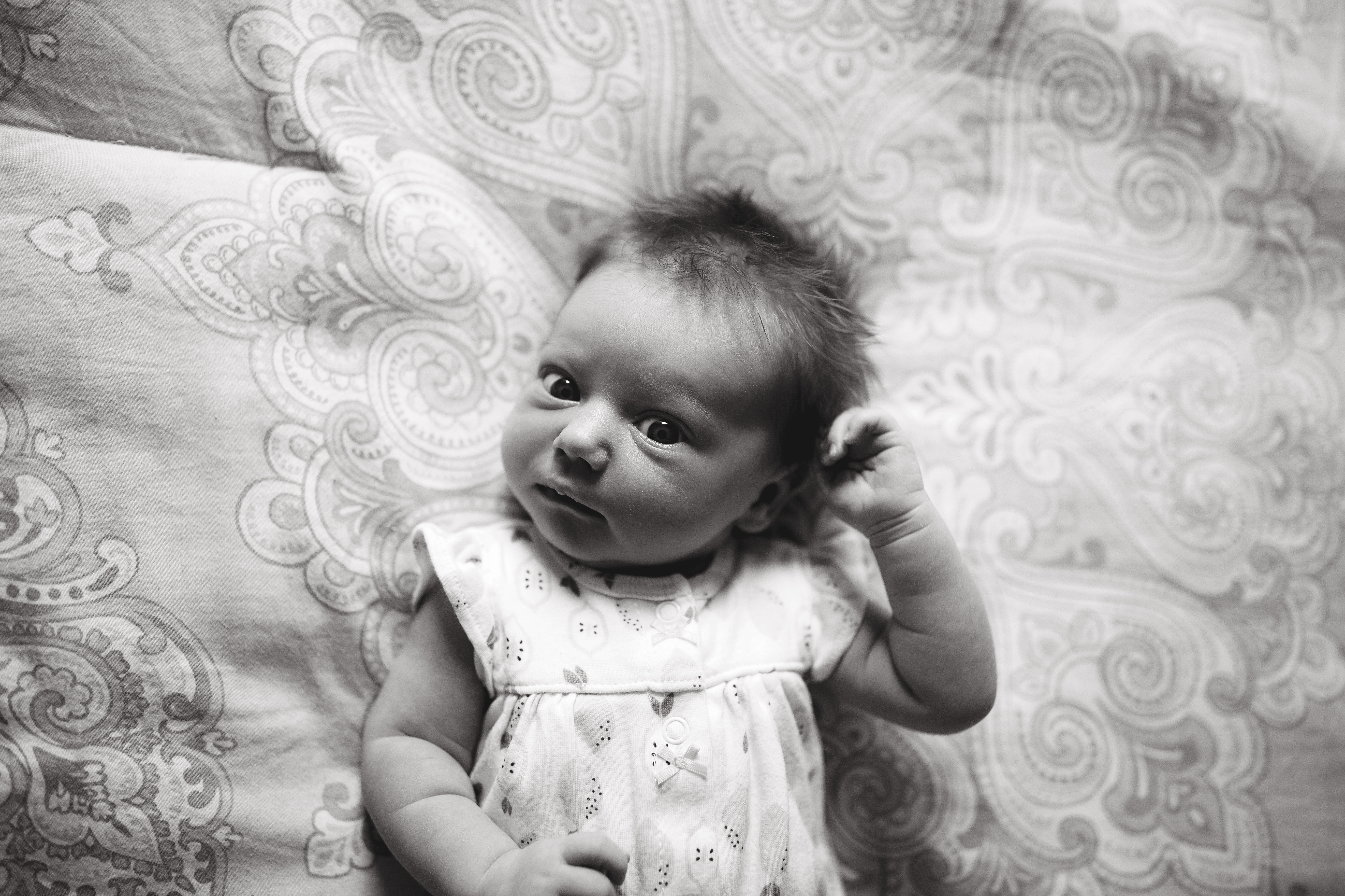 newborn baby looks up at camera