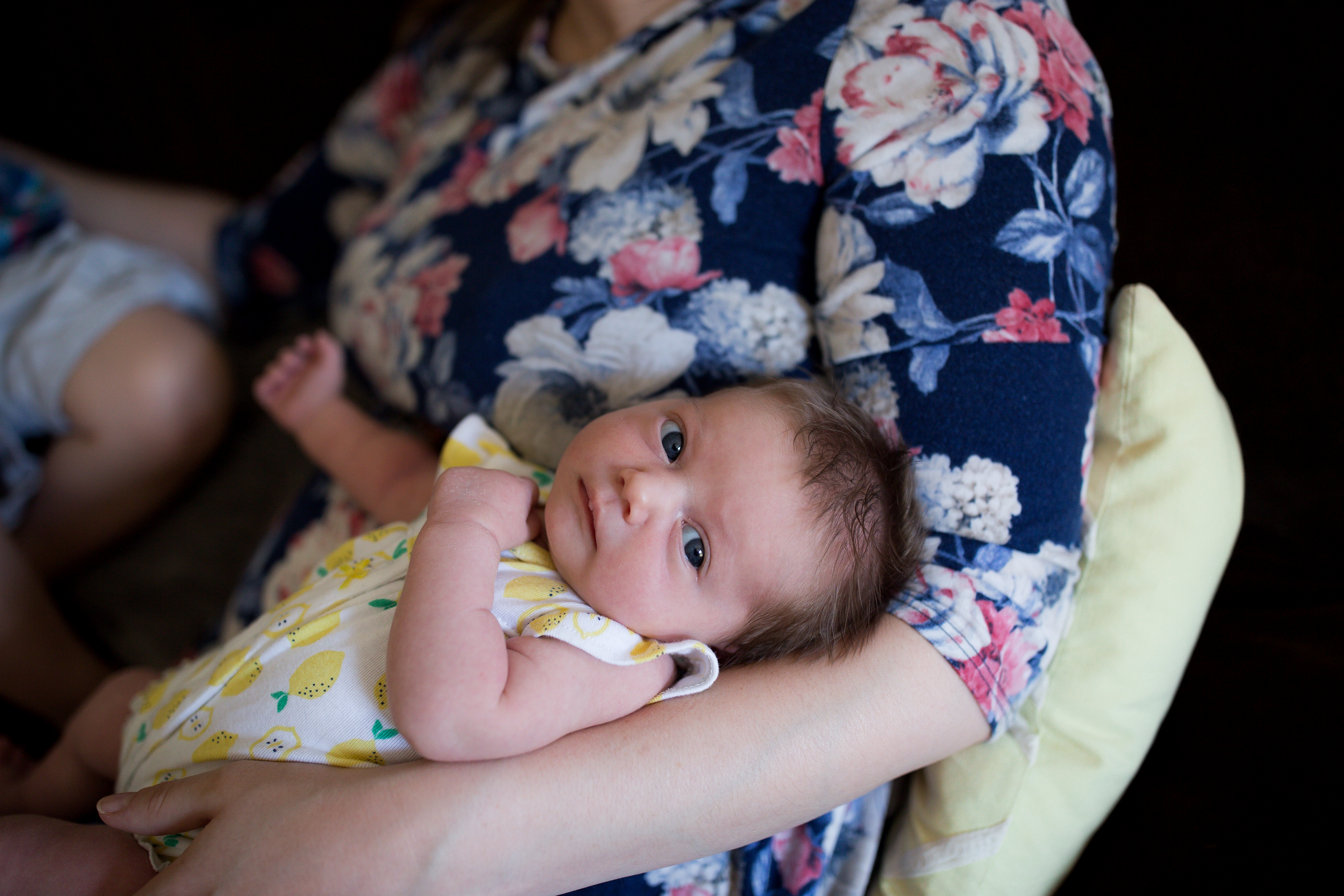 newborn baby stares at camera