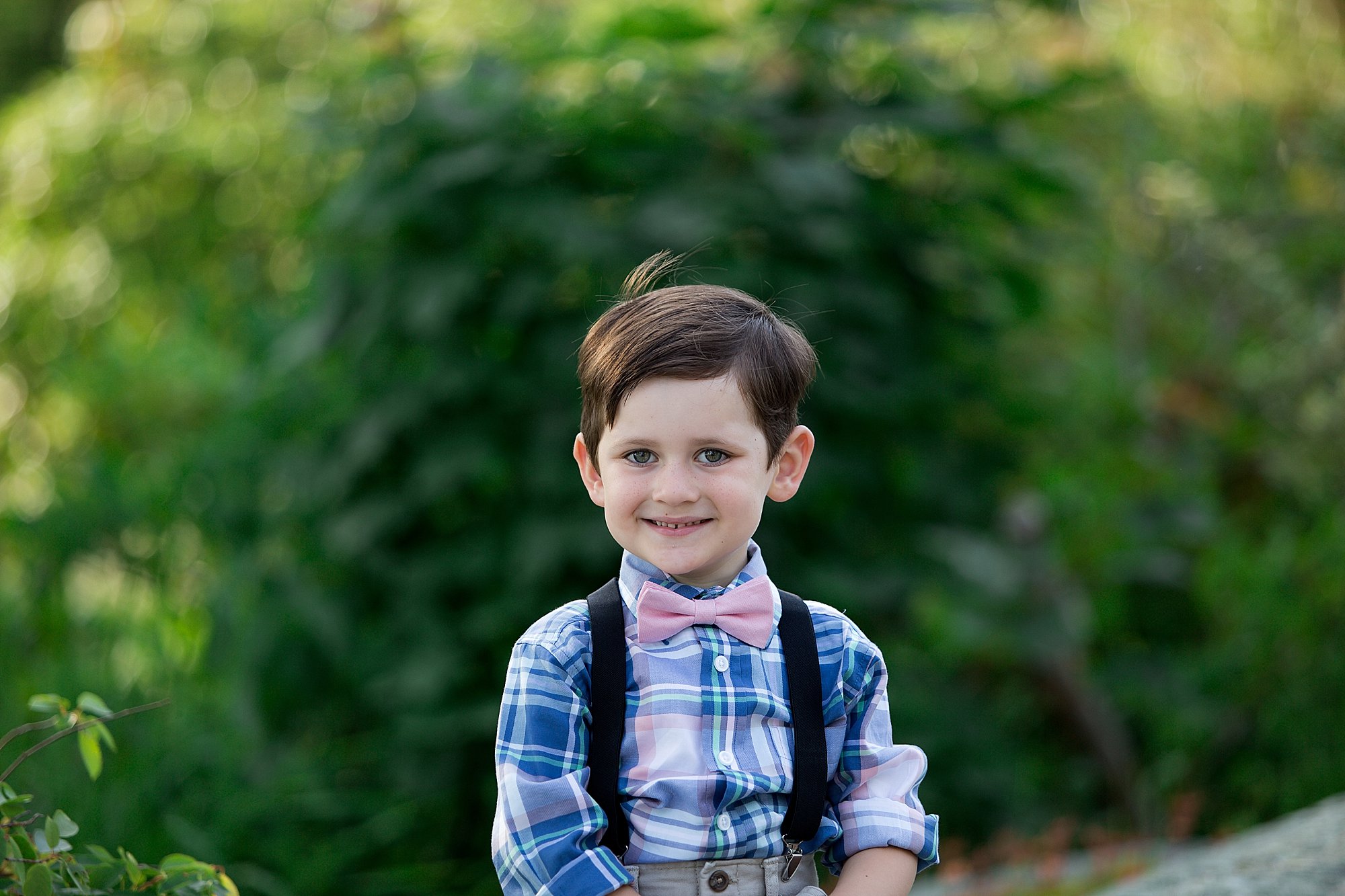 little Alfalfa 